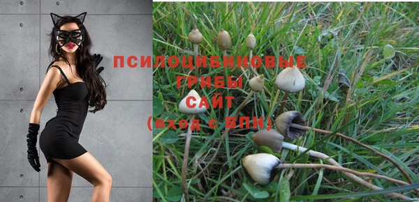 таблы Ладушкин