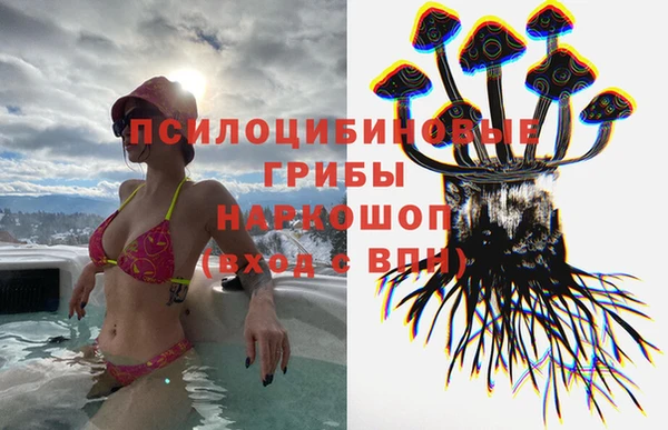 таблы Ладушкин